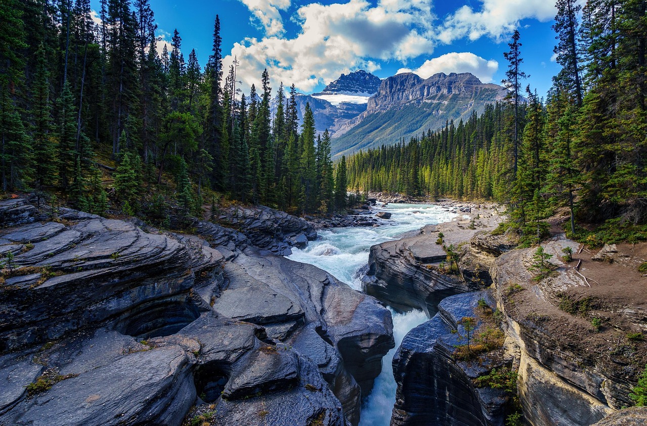 River, rocks, trees — Best France IPTV Services for French and International TV