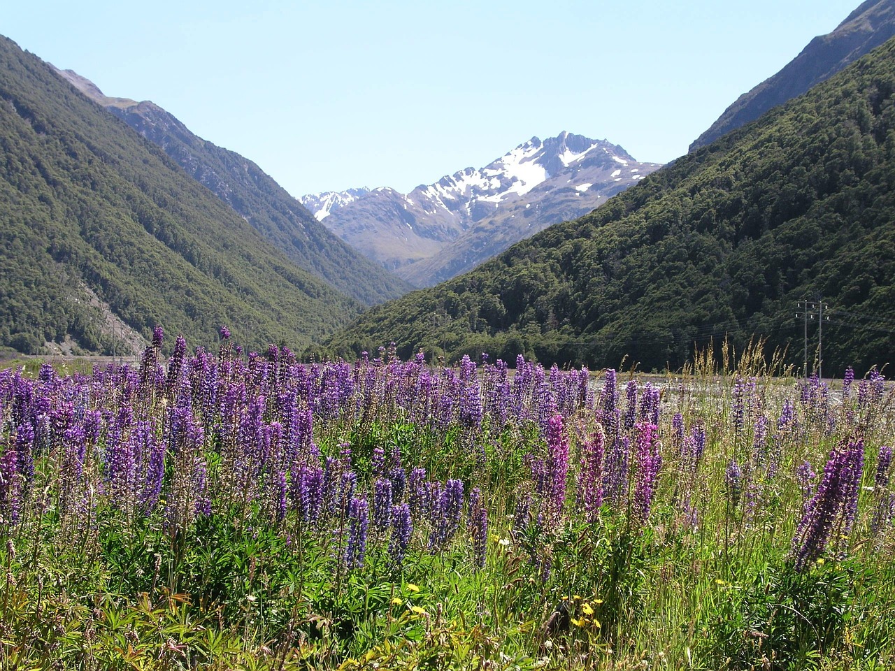 New zealand, new, zealand — BTCC Exchange: A Pioneer in Crypto Derivatives Trading