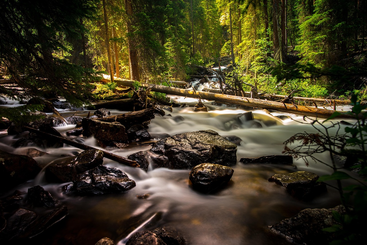 Creek, forest, landscape — IPTV Nordic Helping Users Watch Nordic Movies and Series Without Interruptions