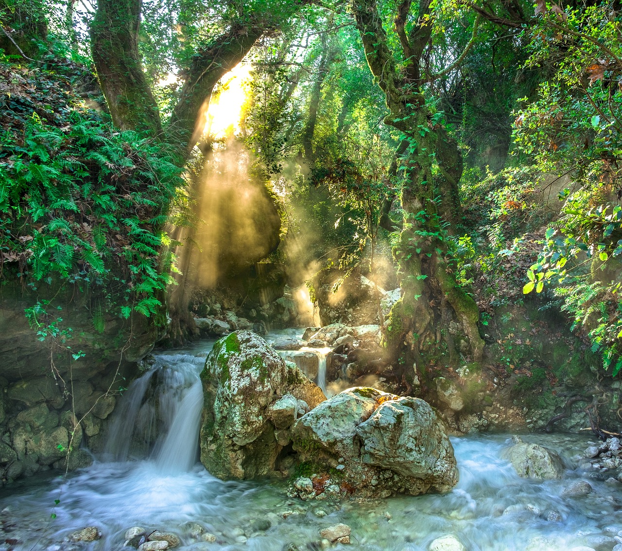 Rainforest, jungle, stream — Stream Swedish Channels Seamlessly with IPTV Sweden