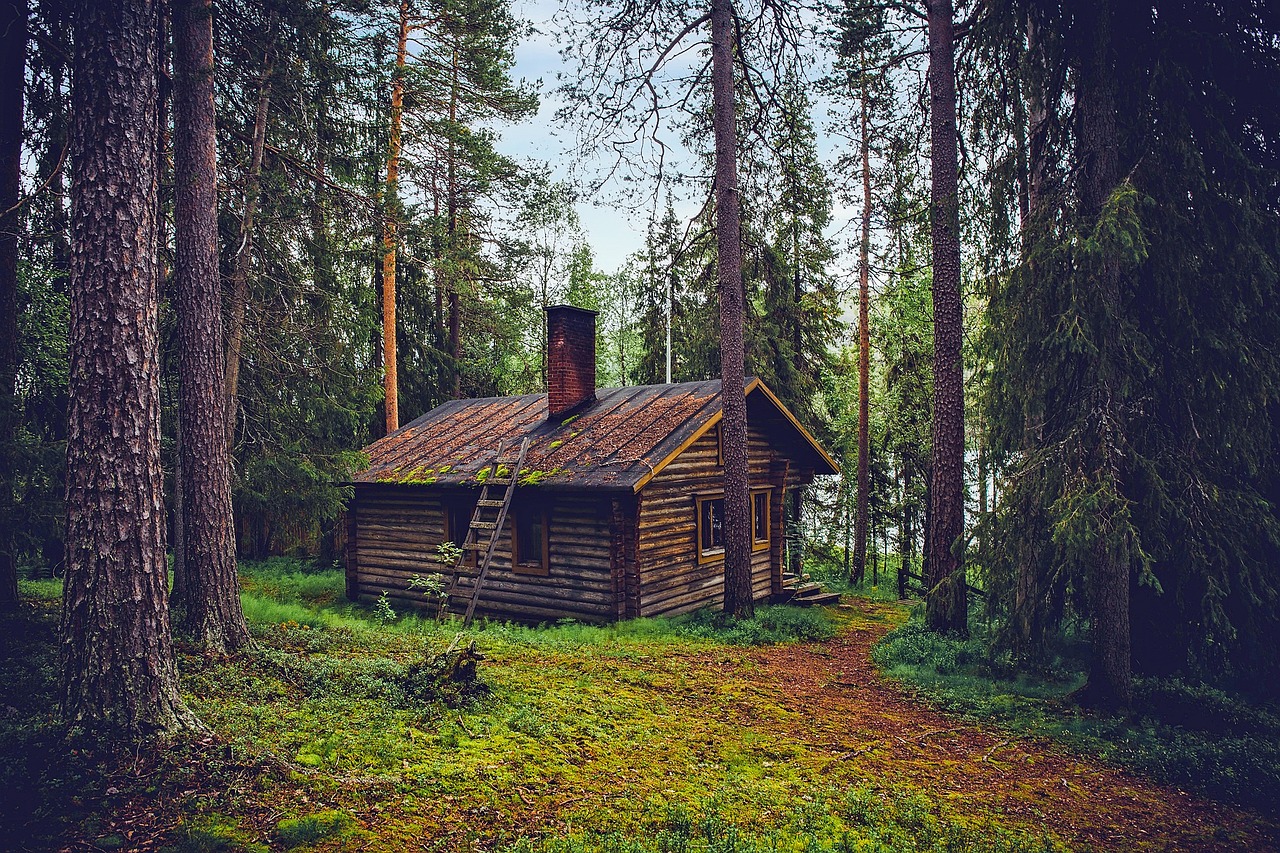 Log cabin, cottage, house — Transforming Your Business: Innovative Ideas for a Commercial Space Remodel